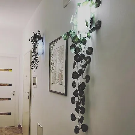 Oda ve Kahvaltı Esperanto 3*