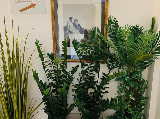 Bed & Breakfast Esperanto